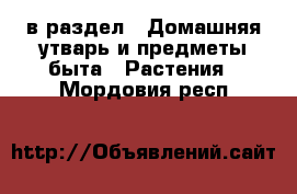  в раздел : Домашняя утварь и предметы быта » Растения . Мордовия респ.